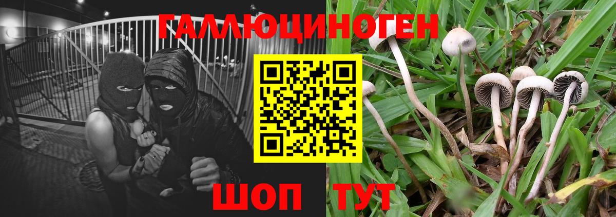 Галлюциногенные грибы мицелий  Вход с VPN  закладка  Донской 